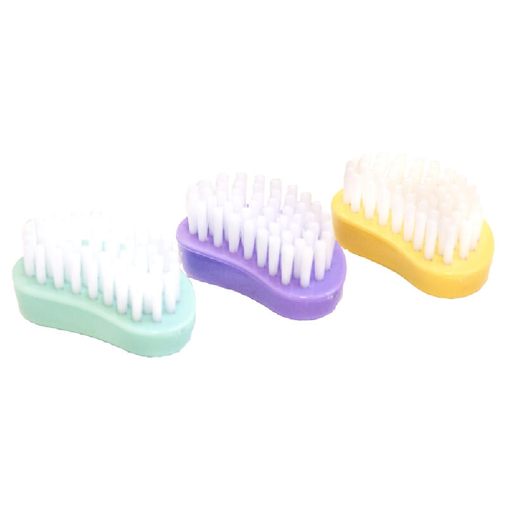 Cepillo de Uñas Tarro x 24 u