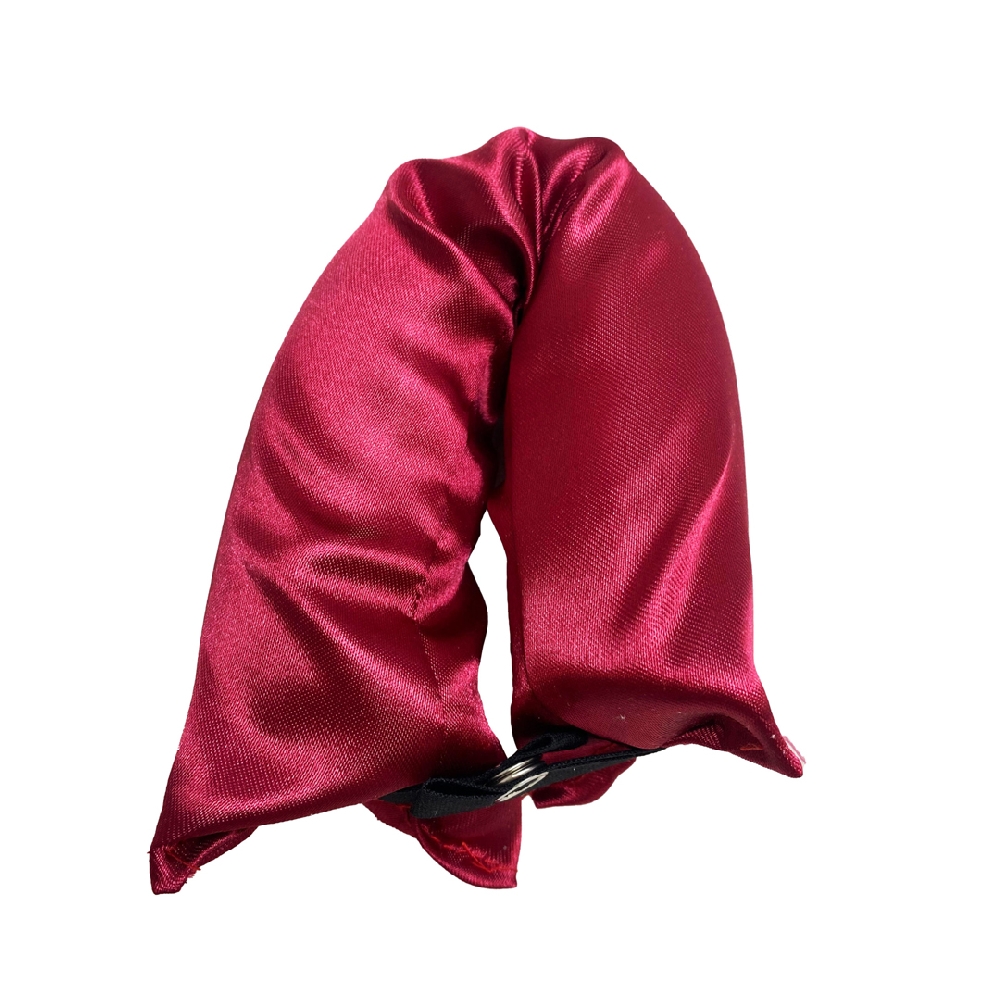 Banda para Rulos con Broche