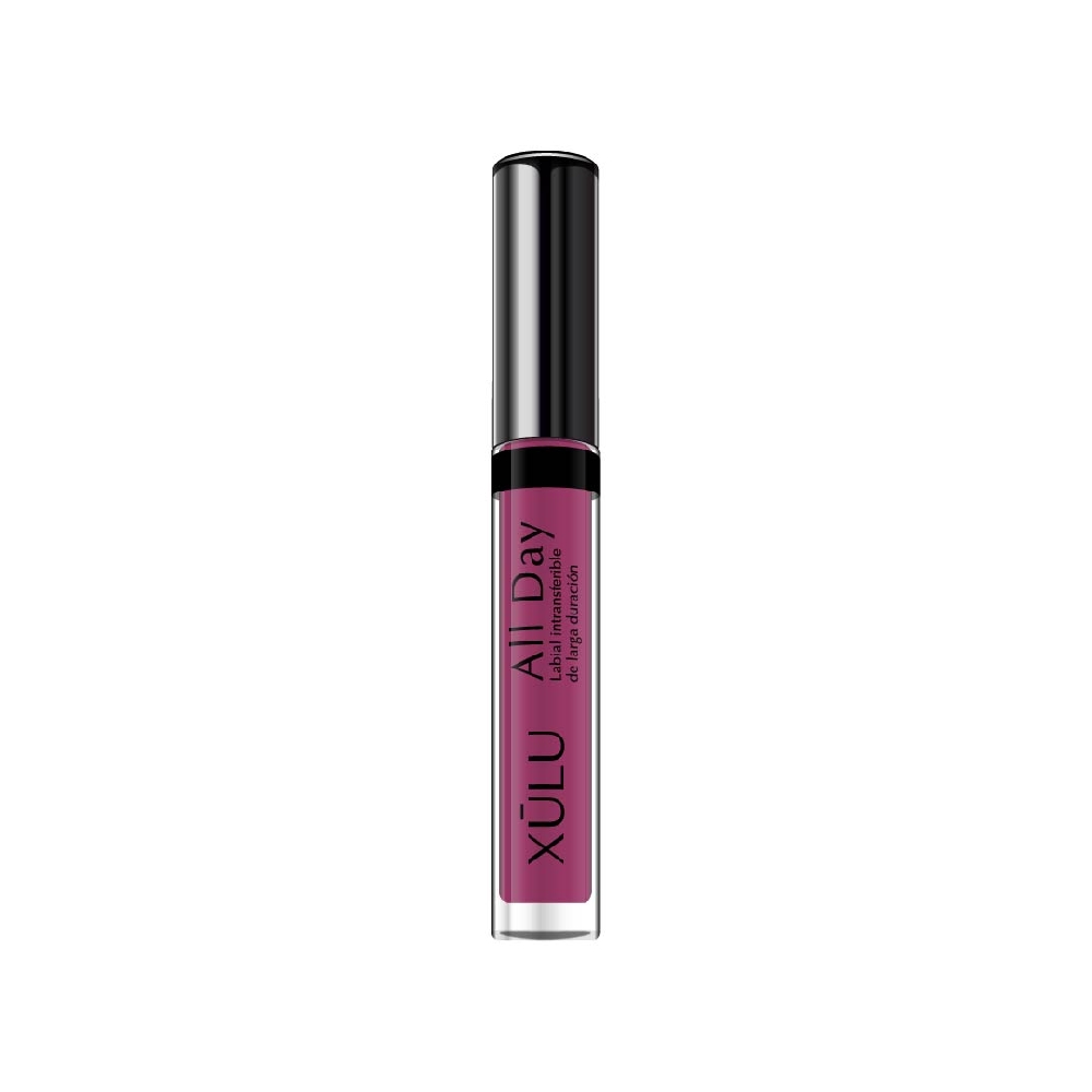 Labial All Day Larga Duración | 24916 | Ciruela